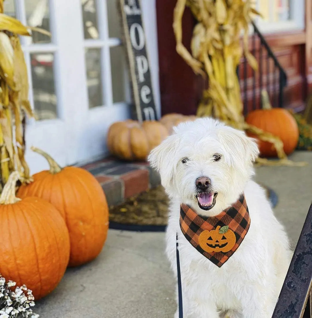 Orange plaid Halloween dog bandana with white skeleton and orange pumpkin felt appliques