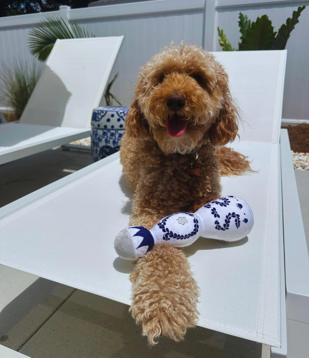 Funny tequila dog toy boujee plush toy with squeaker in red colour for all dog sizes 26cm