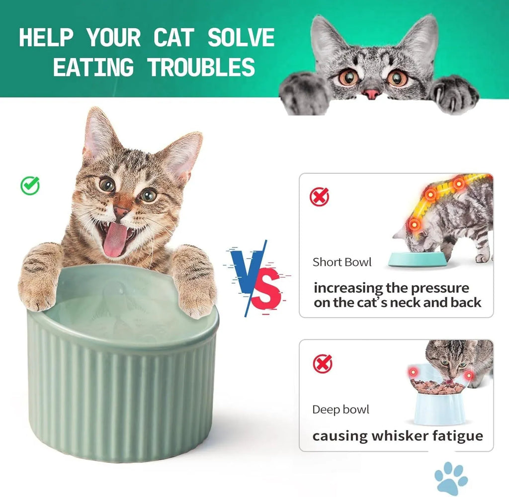 Ceramic raised cat bowl with tilted design in green colour on wooden surface