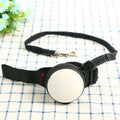 Automatic retractable dog leash with nylon construction and one-touch brake in various colours