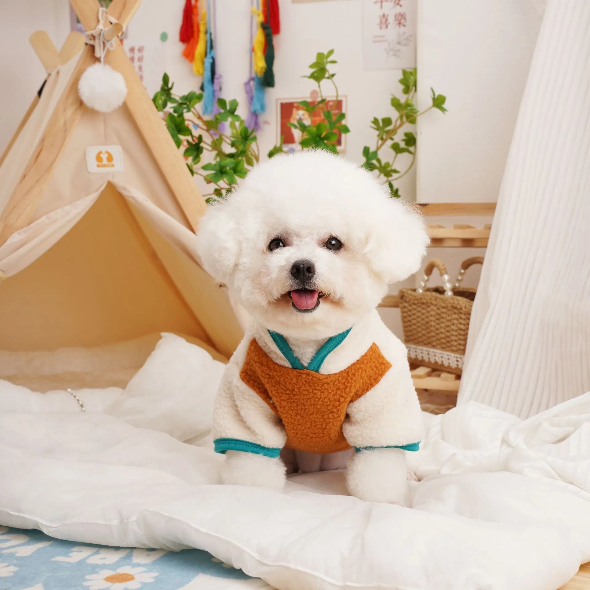 Pet autumn winter Berber fleece thickened sweatshirt in caramel colour on a small dog, side view