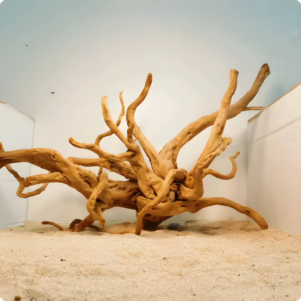 Xiaoqi root wood decoration for fish tank scenery with natural submerged wood appearance