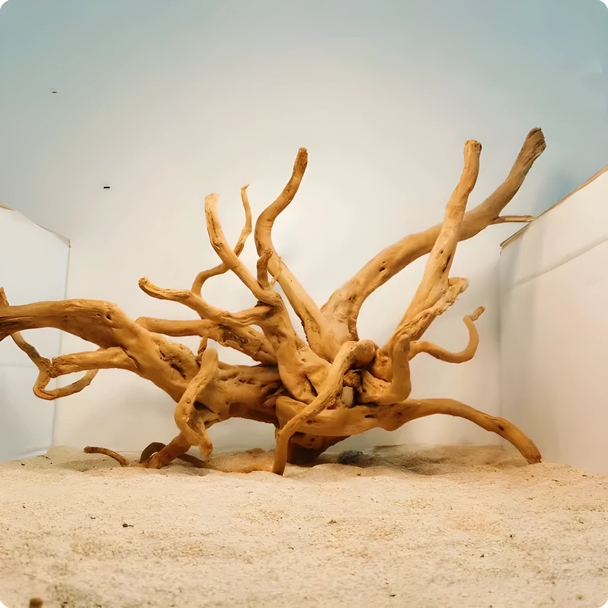 Xiaoqi root wood decoration for fish tank scenery with natural submerged wood appearance