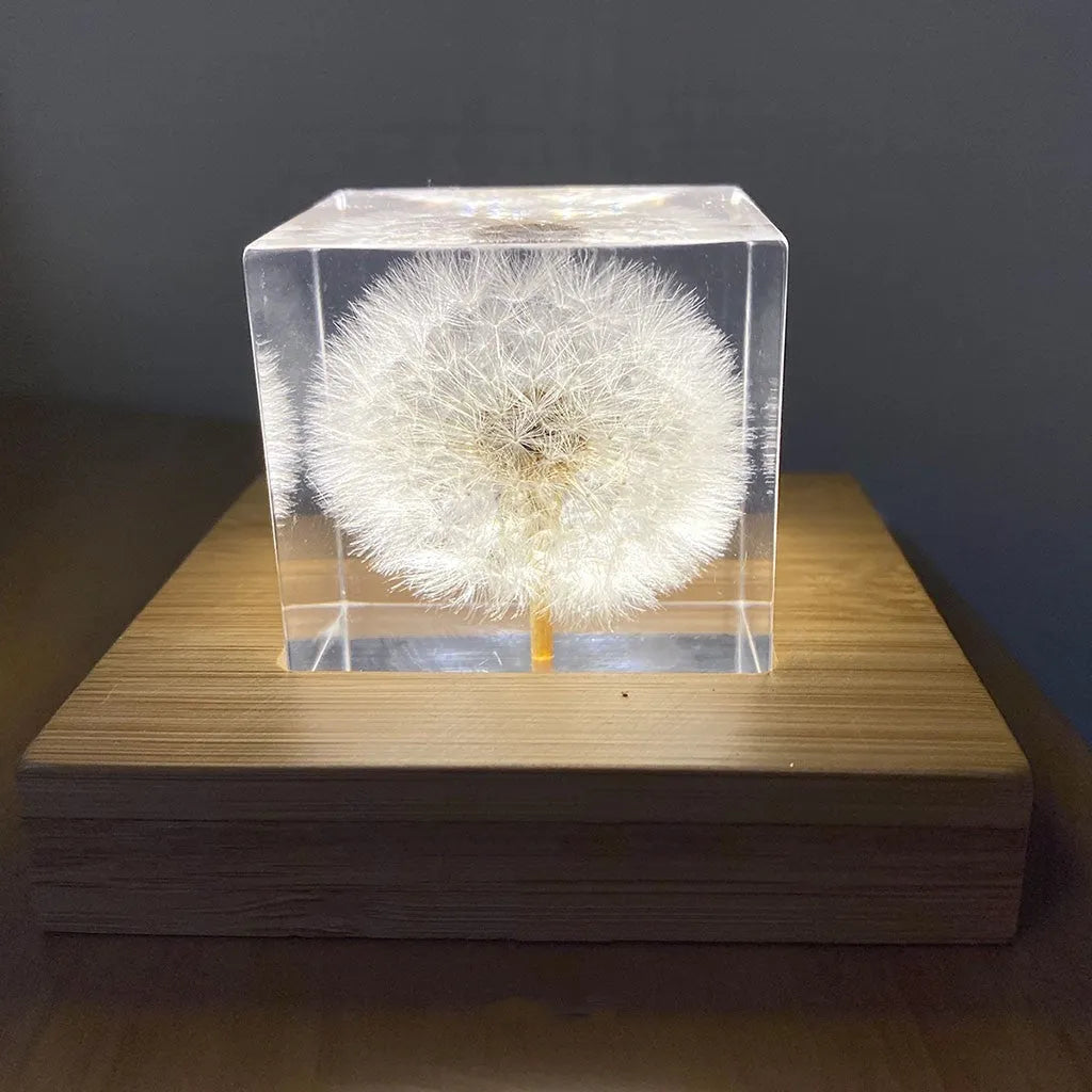 Dandelion preserved in a clear 5cm resin cube on a wooden box with USB charging base for tabletop decoration
