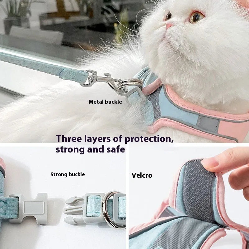 Blue orange stitching cat harness with reflective suede chest strap and 1.5 metre traction rope on a cat