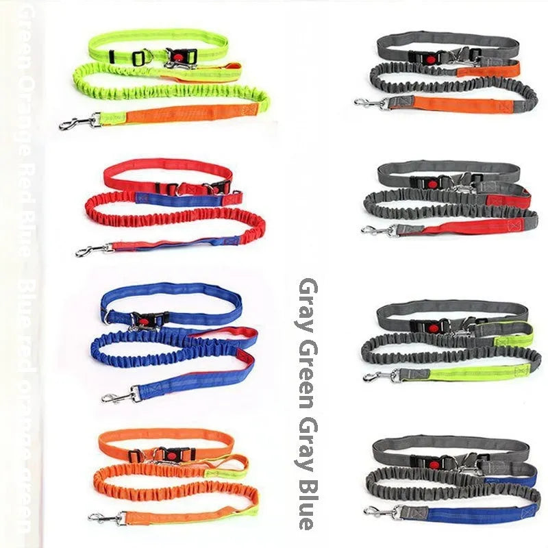 Reflective nylon dog leash with elastic section in multiple colour combinations, 2.5cm width
