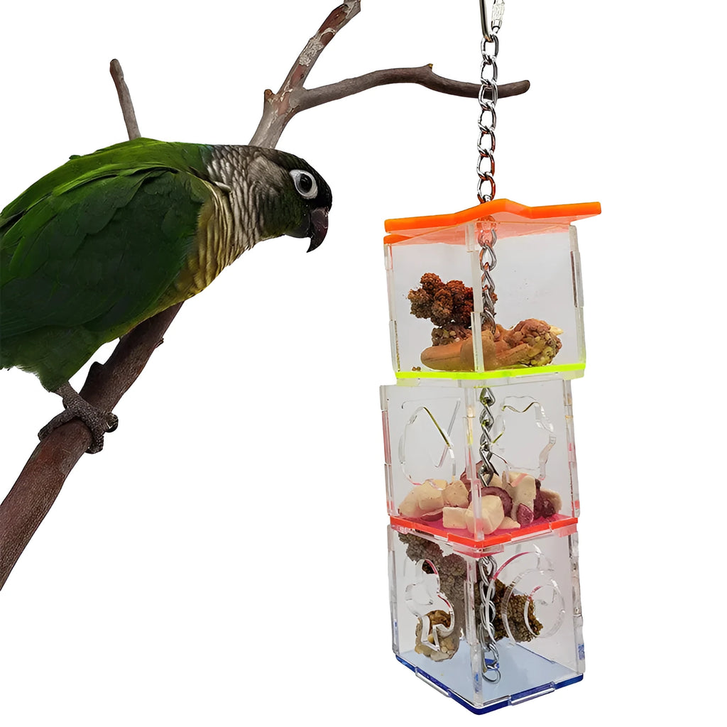 Clear acrylic bird foraging toy measuring 5x5x32 cm for parrots with fruit inside