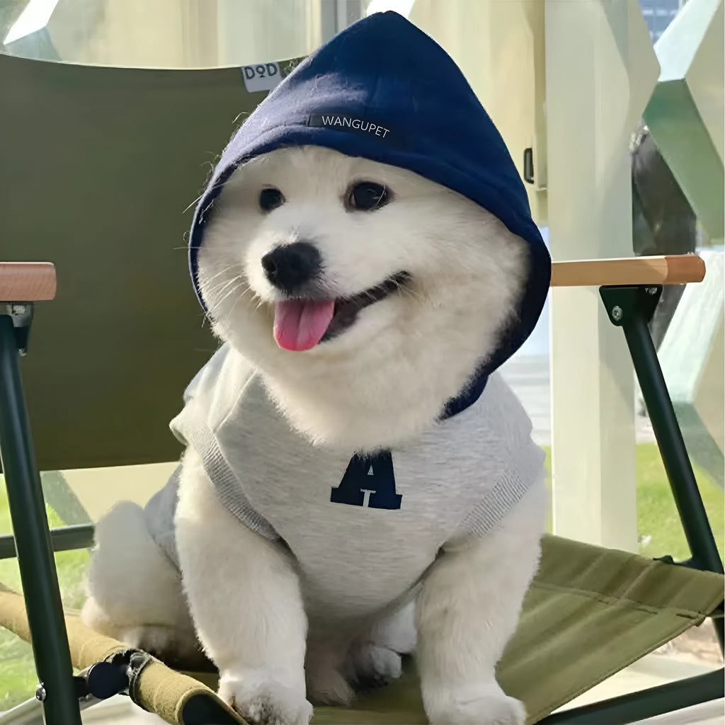 Blue and white reflective letter pet hoodie for dogs and cats