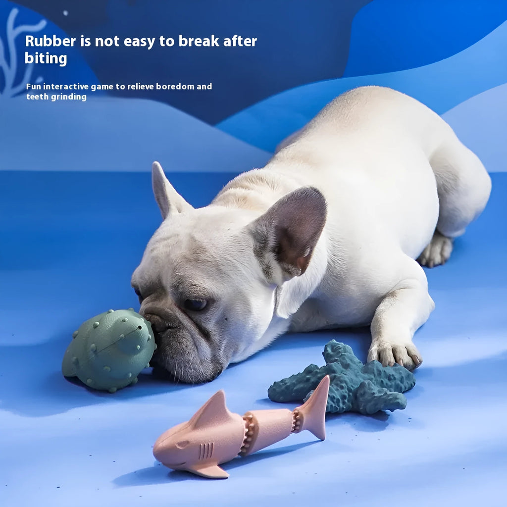 Deep sea shark themed rubber dog toy in conch or starfish design, blue or green colour