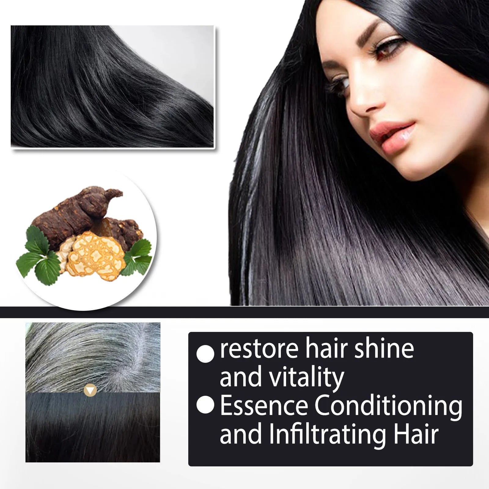 Polygonum Multiflorum Shampoo 100ml boxed for white to black hair restoration