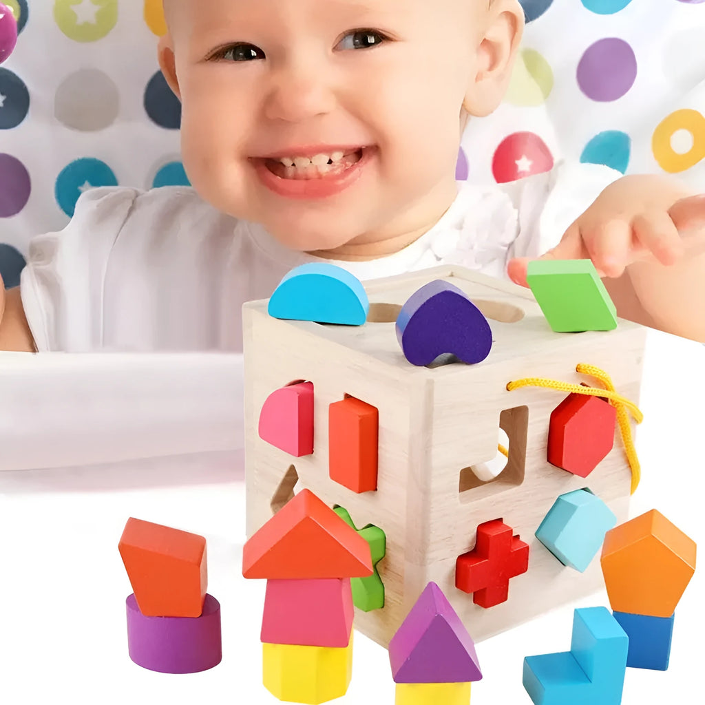 Wooden geometric shape matching baby building blocks set with 12-hole smart box in colour packaging for infants