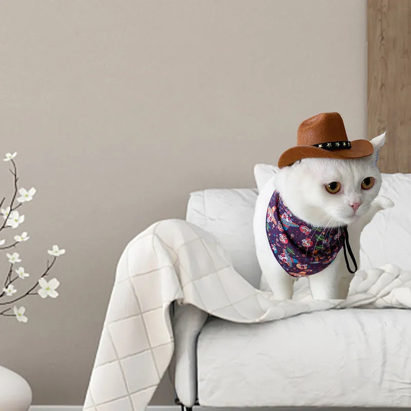 Cat wearing a black star cowboy hat made of soft non-woven fabric, standing outdoors