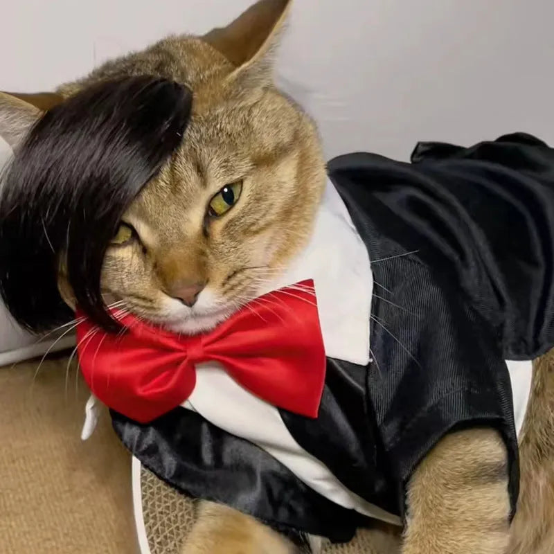 Black cat wig with imitation braid design for pet costume use