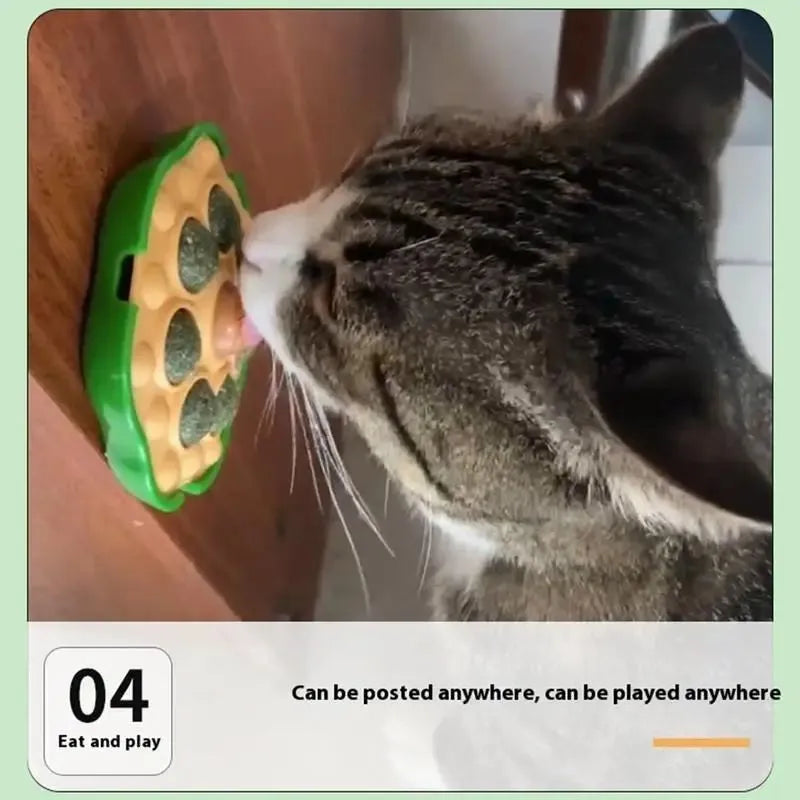 Green catnip ball that sticks on wall, size 10.5x10.5cm, for indoor cats biting and licking