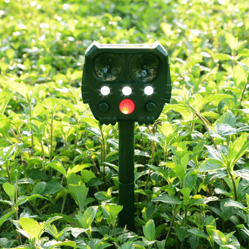 Green solar-powered ultrasonic dog repeller with LED lights for outdoor animal deterrent.