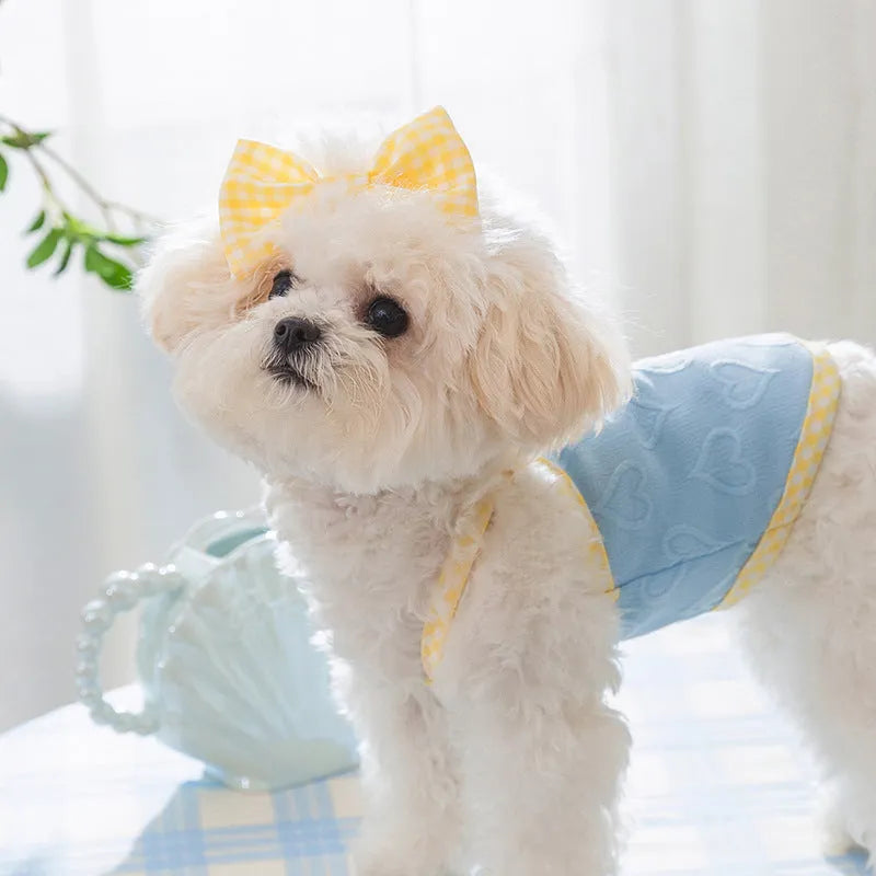 Small dog wearing heart texture vest with bow suspenders in blue colour
