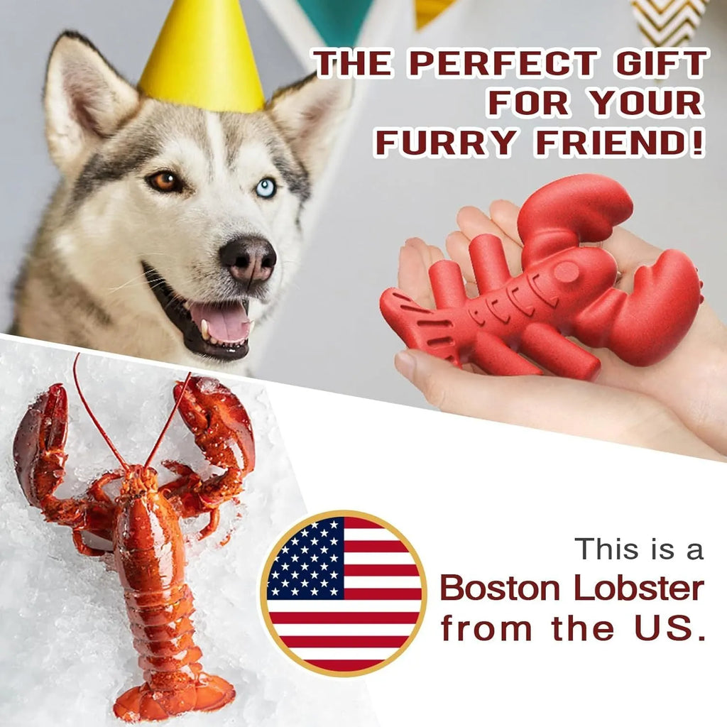 Red hard chew toy for large dogs measuring 170mm by 132mm for aggressive chewers