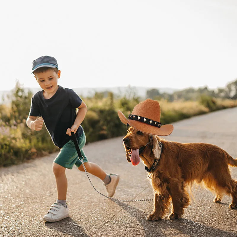 Cat wearing a black star cowboy hat made of soft non-woven fabric, standing outdoors