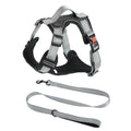 Adjustable polyester dog harness with chest strap and optional hand holding rope in multiple colour options
