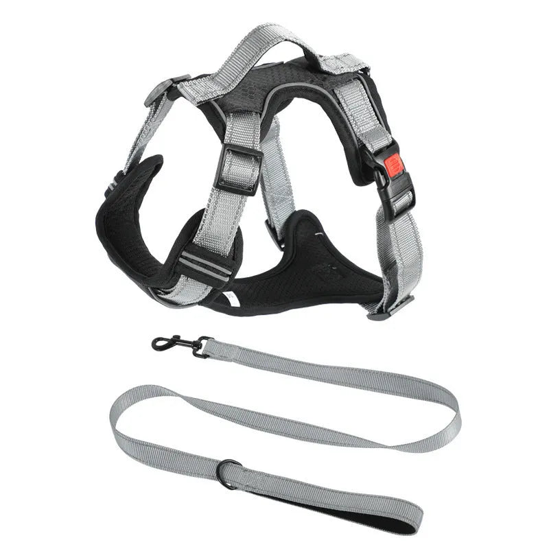 Adjustable polyester dog harness with chest strap and optional hand holding rope in multiple colour options