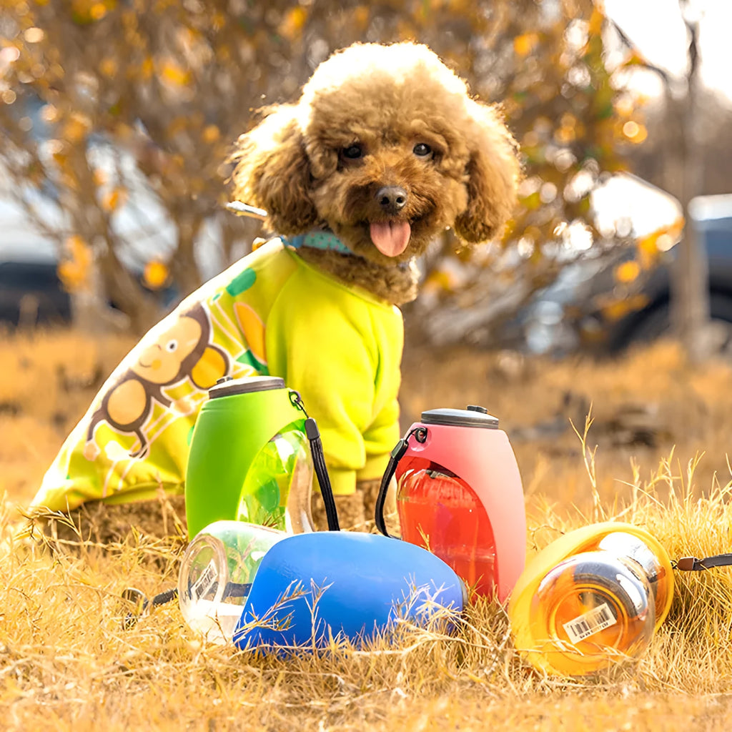 Portable pet water bottle with 680ml capacity, wide bowl, and key-type lock in blue, rose red, fruit green, orange