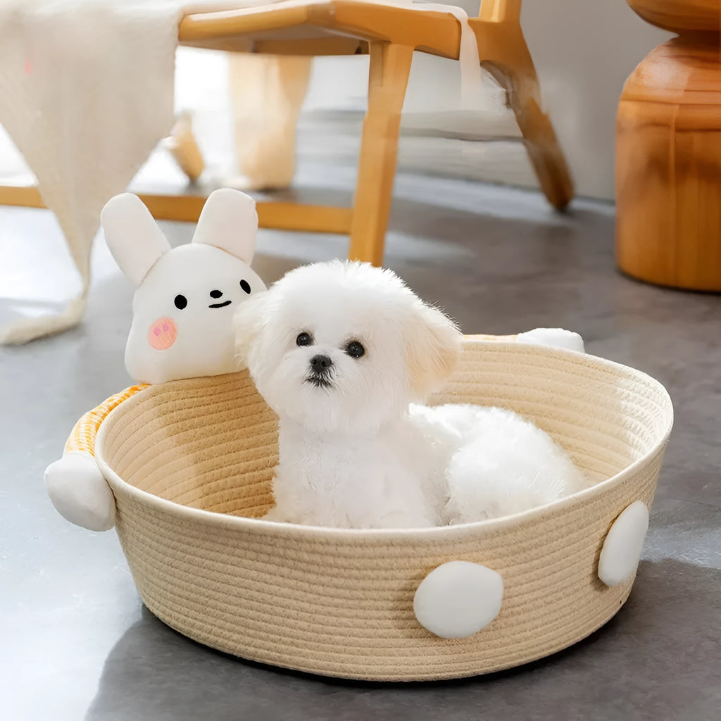 Woven cotton rope cat bed and scratching board basket shown in a home setting.