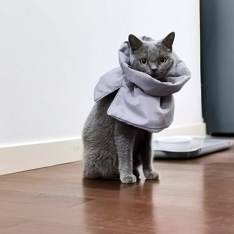 Soft adjustable polyester cat recovery collar in light blue, with elastic buckle, for small and medium cats