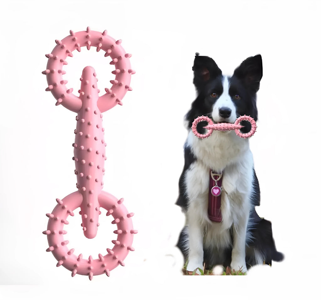 Blue TPR dog chew toy ring measuring 16cm diameter for safe puppy chewing