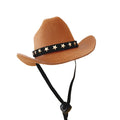 Cat wearing a black star cowboy hat made of soft non-woven fabric, standing outdoors