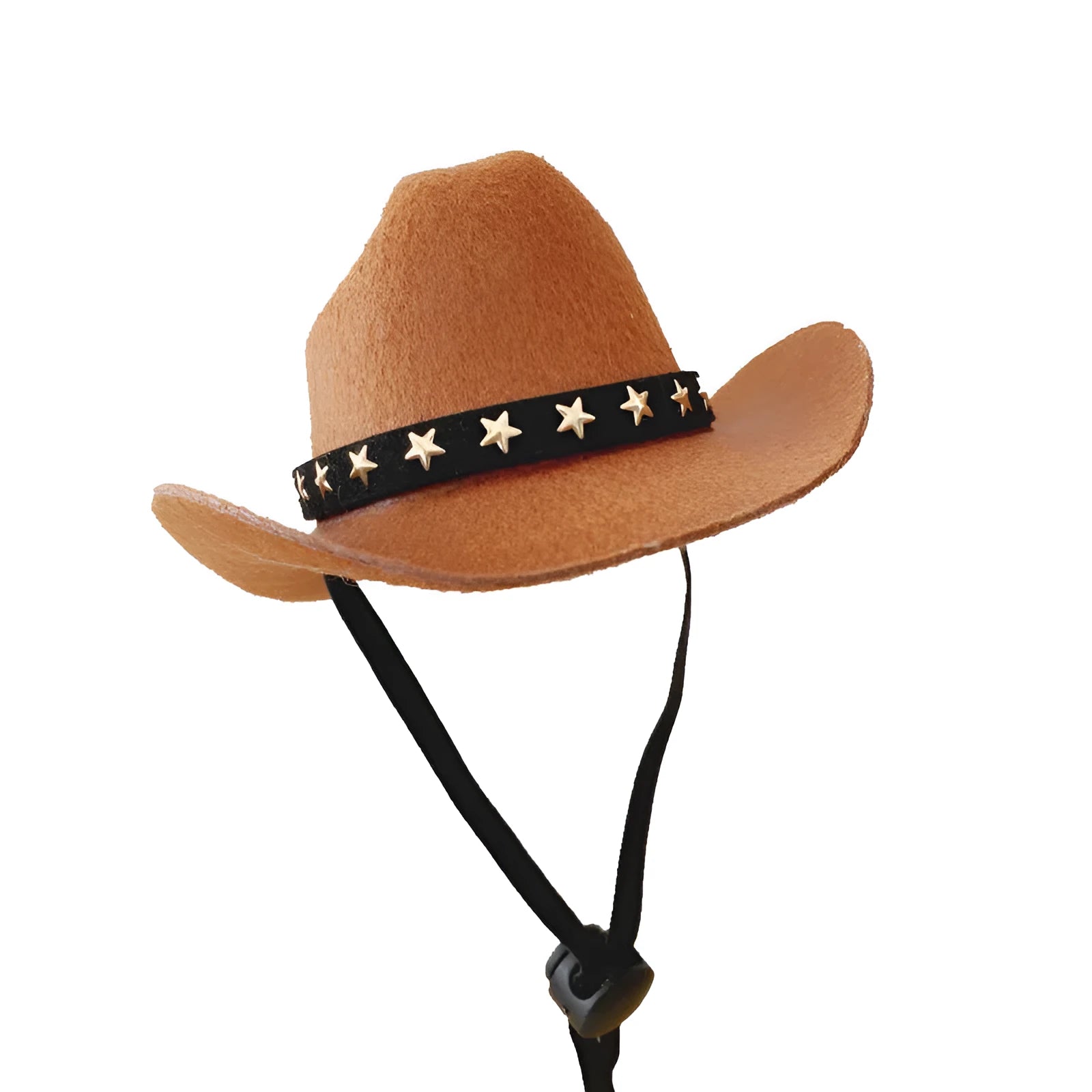 Cat wearing a black star cowboy hat made of soft non-woven fabric, standing outdoors