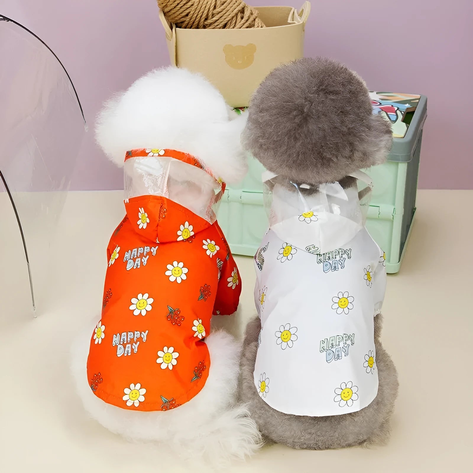 Transparent dog raincoat in orange with pull ring traction on a white background
