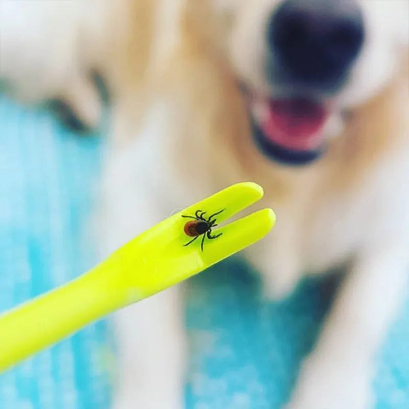 Blue and green plastic tick removal tools for pets with hook design