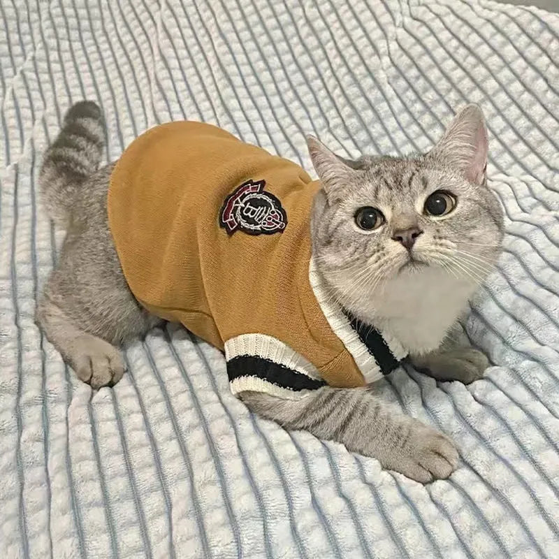 College-style warm winter cat coat in wine red on a British Shorthair cat, size M, side view