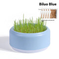 Hydroponic cat grass growing kit with soilless potted seeds in blue, green and yellow cup options
