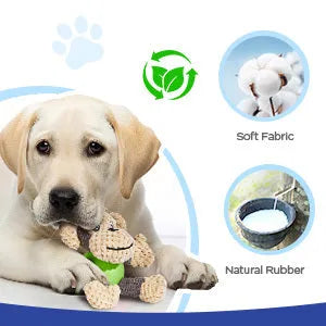 Cute squeaky monkey plush dog toy with soft fabric, designed for small and medium dogs