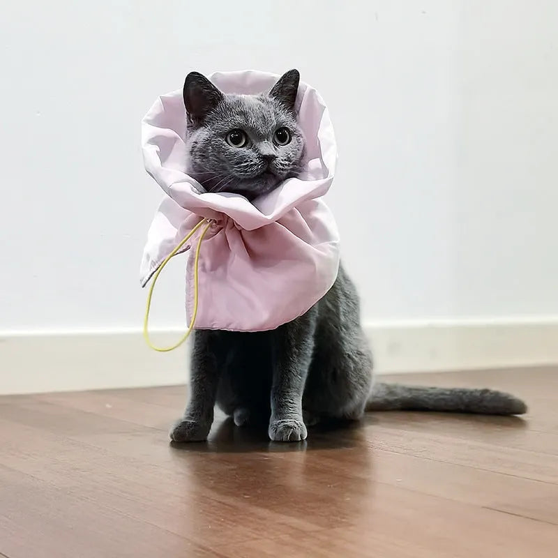 Soft adjustable polyester cat recovery collar in light blue, with elastic buckle, for small and medium cats