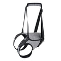 Grey adjustable neoprene dog rear leg recovery belt for hind leg support and mobility assistance
