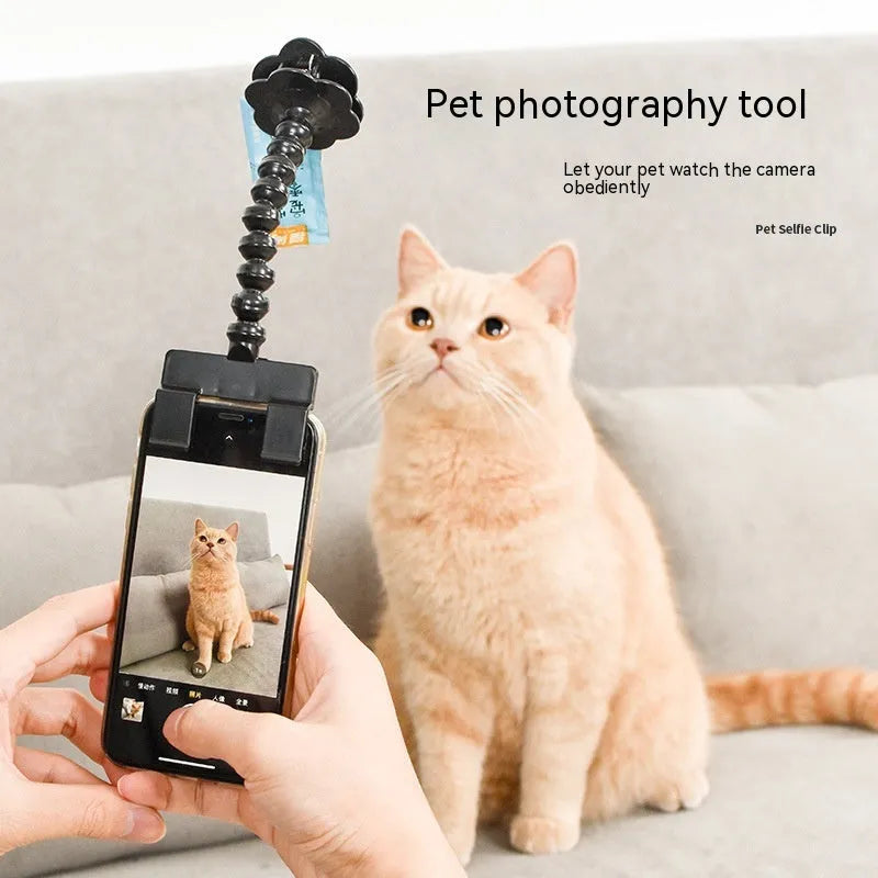 Pet photography tool with black plastic phone clip and snack holder for dog selfies