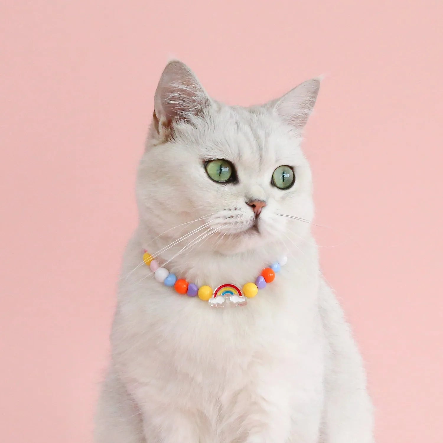 Colourful plastic bead pet necklace for dogs and cats in small flower, rainbow, or peach patterns.
