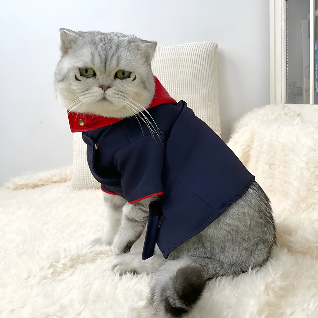 Tiger Staff Yuren coloured hoodie photography prop for cats and dogs on mannequin
