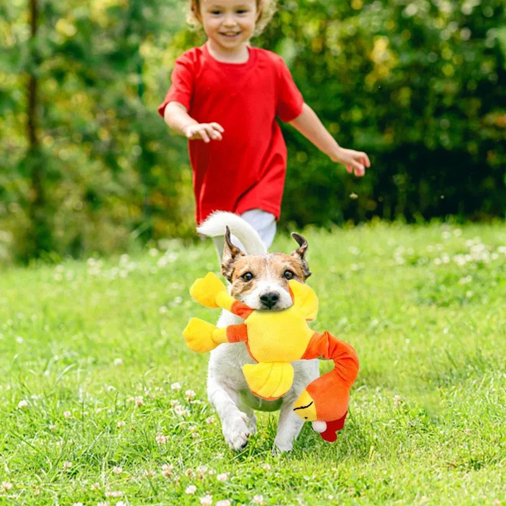 Screaming chicken sound dog chew toy in black, green or orange colours