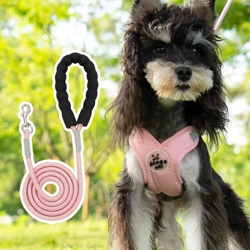 Polyester pet vest and hand holding rope set in blue colour with size options