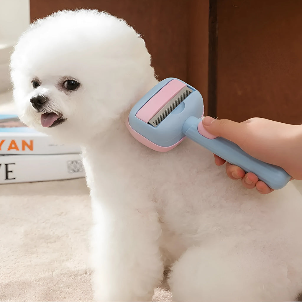 Blue double-sided pet grooming brush with deshedding teeth and dematting comb, 195mm long