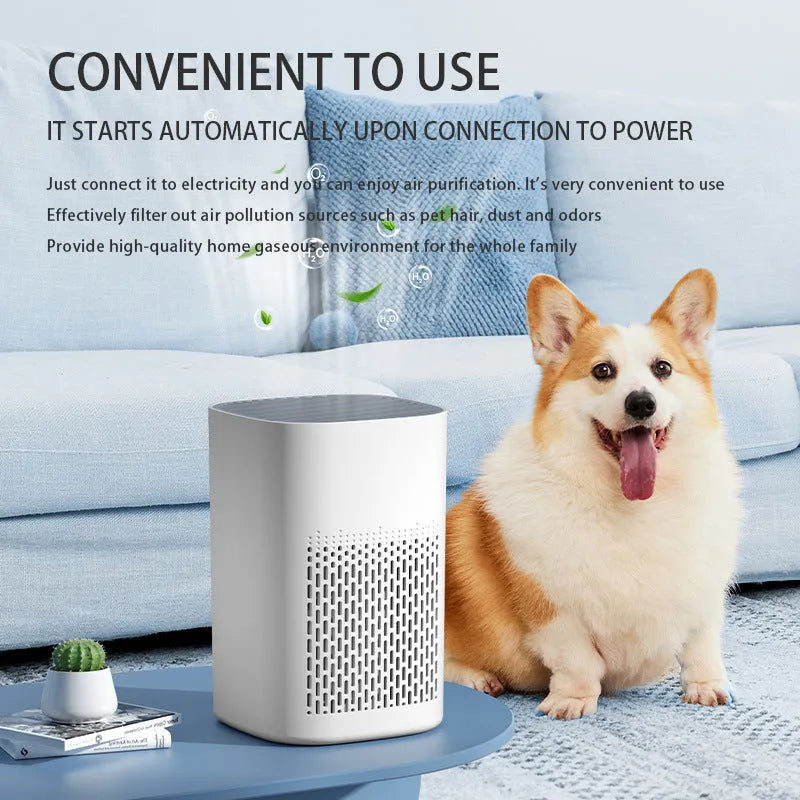USB-powered desktop air purifier with panel heating for small rooms under 10 square metres