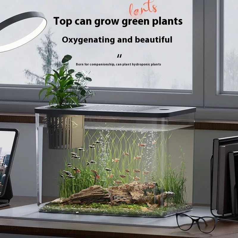 Plastic betta fish tank with cover measuring 32cm long in black and white colour options