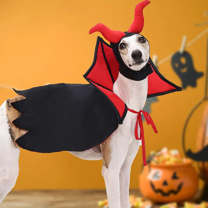 Black vampire cloak and hat costume set on a dog or cat for Halloween.