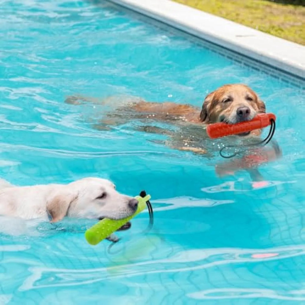 Floating dog pool toys in red and green TPR with rope, resting on water surface