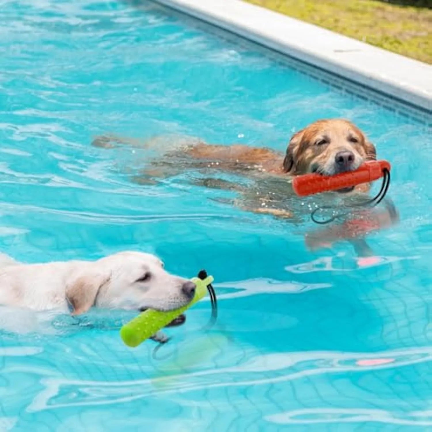 Floating dog pool toys in red and green TPR with rope, resting on water surface