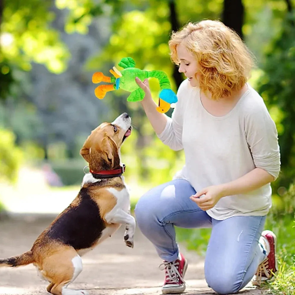 Screaming chicken sound dog chew toy in black, green or orange colours