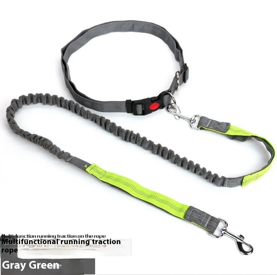 Reflective nylon dog leash with elastic section in multiple colour combinations, 2.5cm width